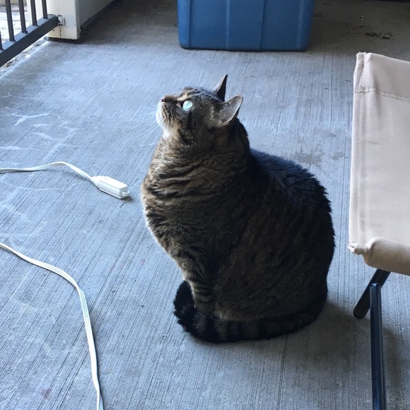 Meet your Posher, Wendy - Picture 1 of 1